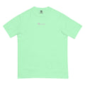 Mint green embroidered Casting Queens adult fishing t-shirt featuring minimalist fish logo design, stylish outdoor fishing apparel for women anglers, boating, and everyday comfort.