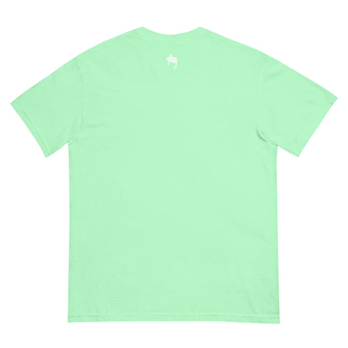 Back view of mint green embroidered Casting Queens adult fishing t-shirt featuring minimalist fish logo detail and lightweight outdoor fishing apparel for women anglers and everyday wear.